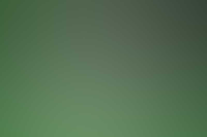 Free Bootstrap Template by uicookies.com