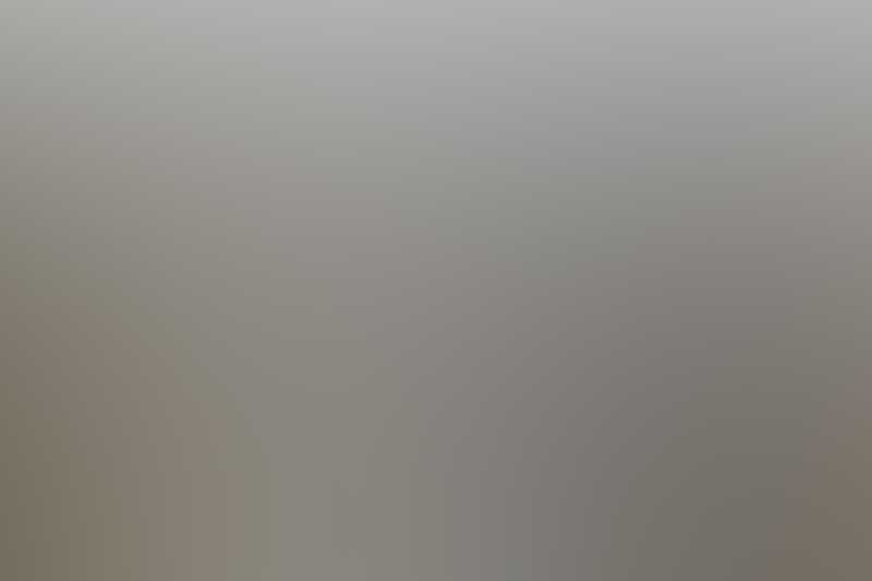 Free Bootstrap Template by uicookies.com